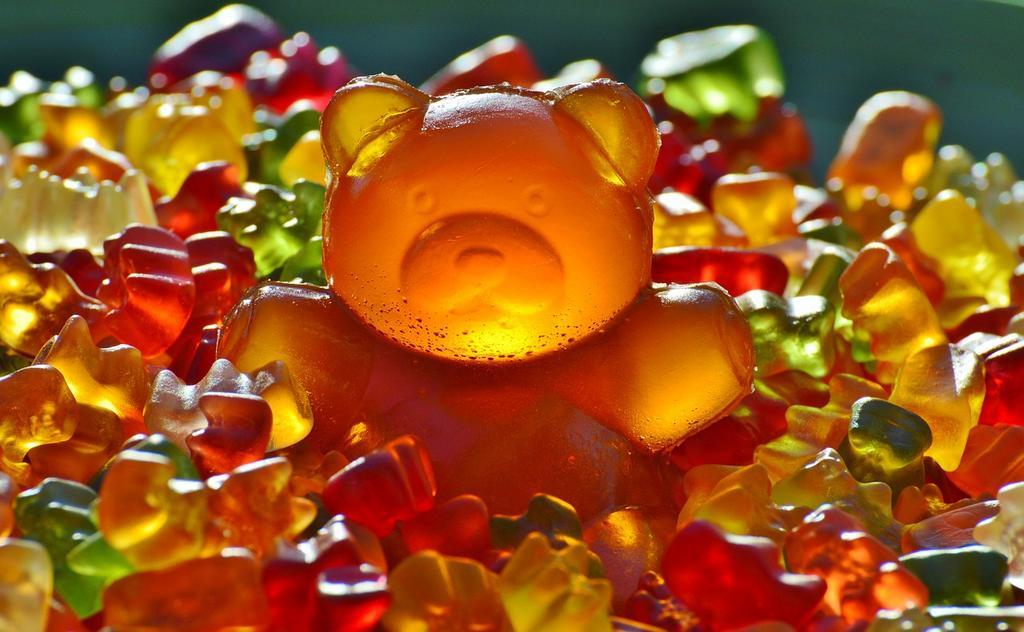 bear gay videos