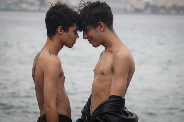 Japonvar Gay